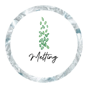 FR-Newlife3-EN3